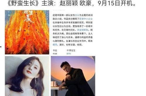 情侣互换吃瓜视频大全免费观看,免费观看视频大全大揭秘