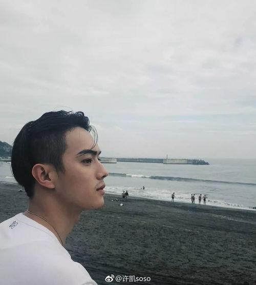 娱乐圈爆料许凯,娱乐圈新恋情引发热议